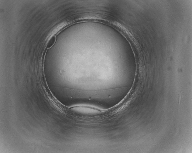 X0000083621129200703051602