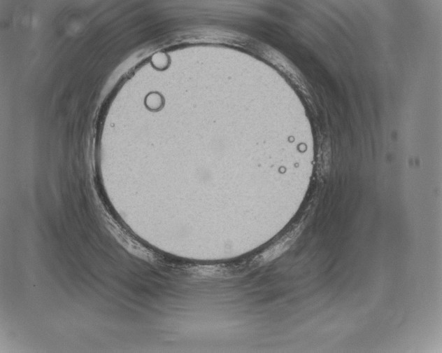 X0000083621130200703051602