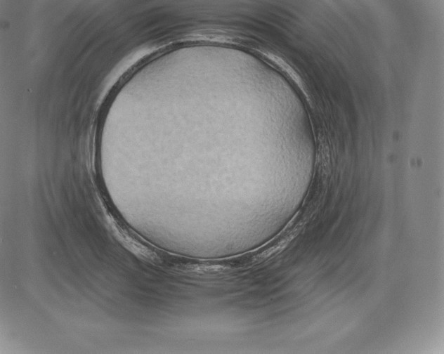 X0000083621131200703051602