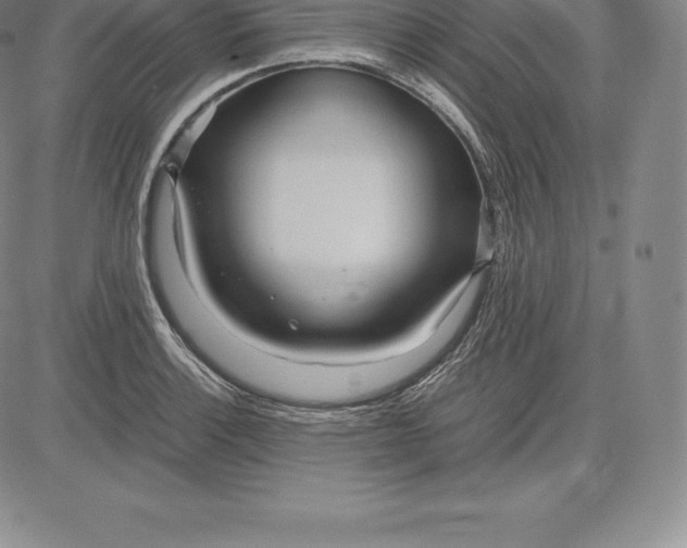 X0000083621132200703051602