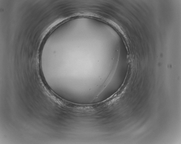 X0000083621133200703051602