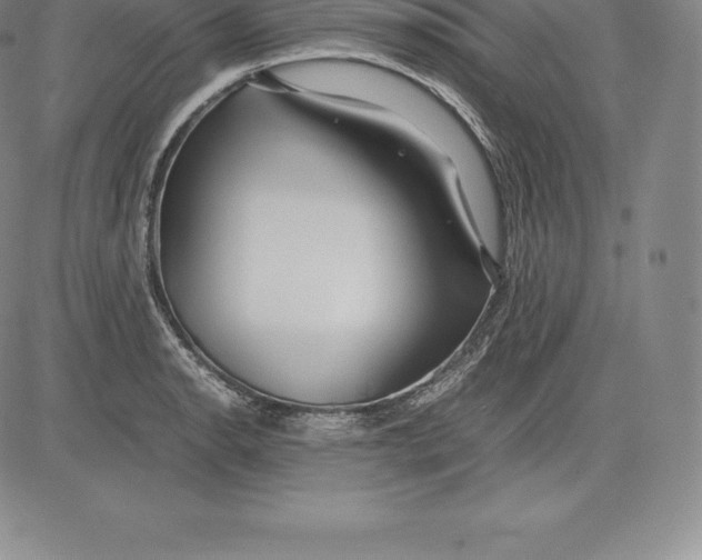 X0000083621134200703051602