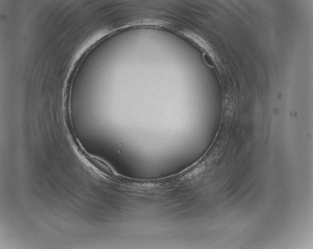 X0000083621135200703051602