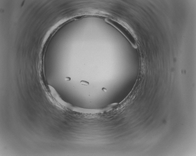 X0000083621136200703051602