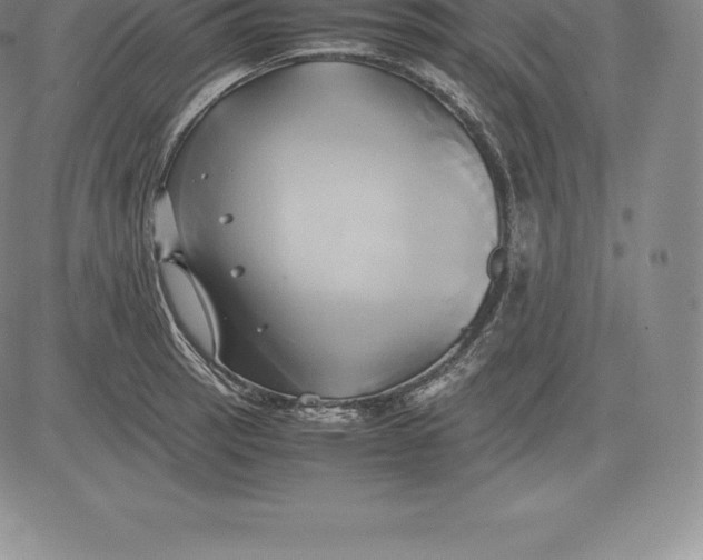 X0000083621137200703051602