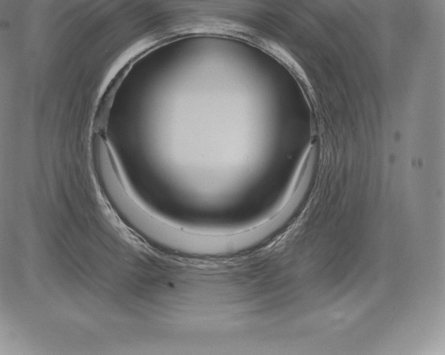 X0000083621138200703051602