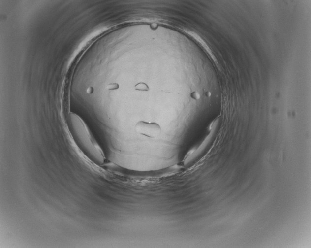 X0000083621139200703051602