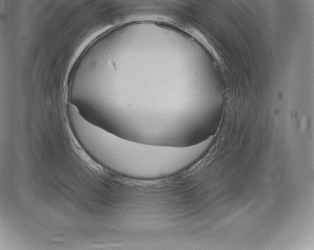 X0000083621140200703051602