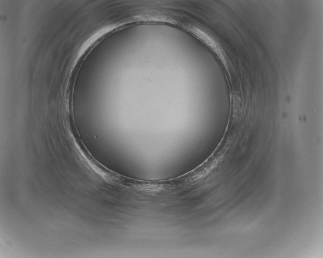 X0000083621141200703051602