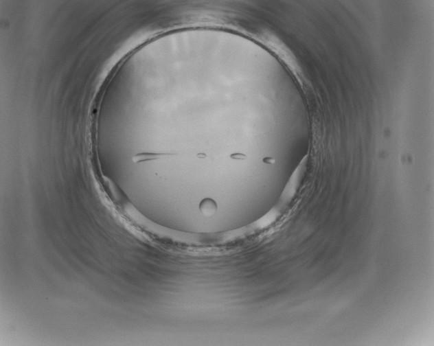 X0000083621142200703051602