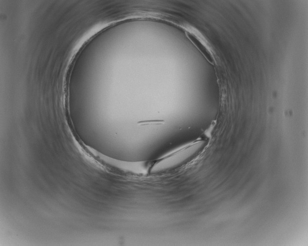 X0000083621143200703051602