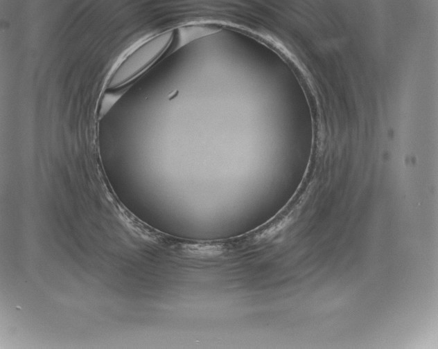 X0000083621145200703051602