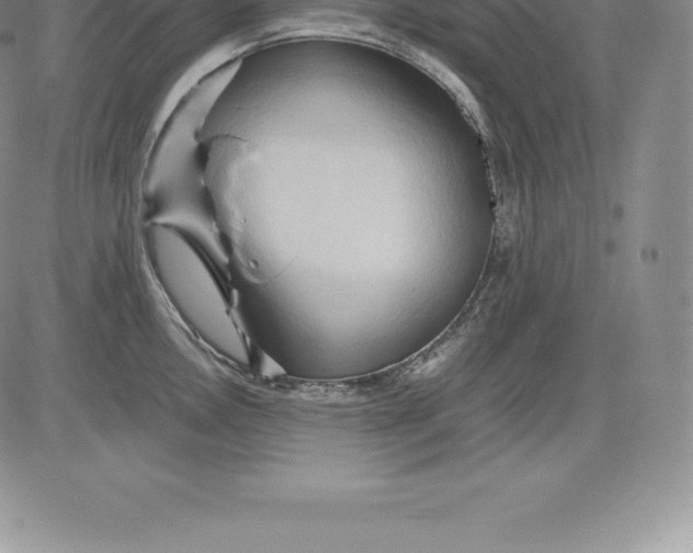 X0000083621146200703051603