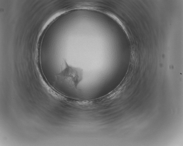 X0000083621147200703051603