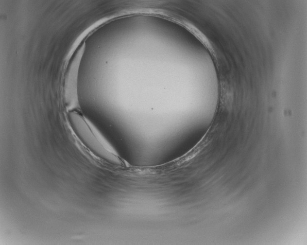 X0000083621148200703051603