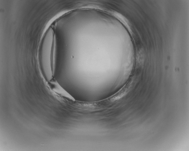 X0000083621149200703051603