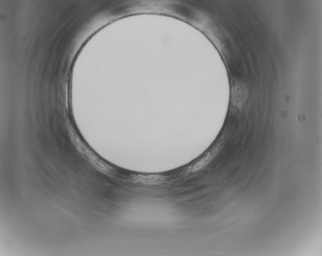 X0000083621150200703051603