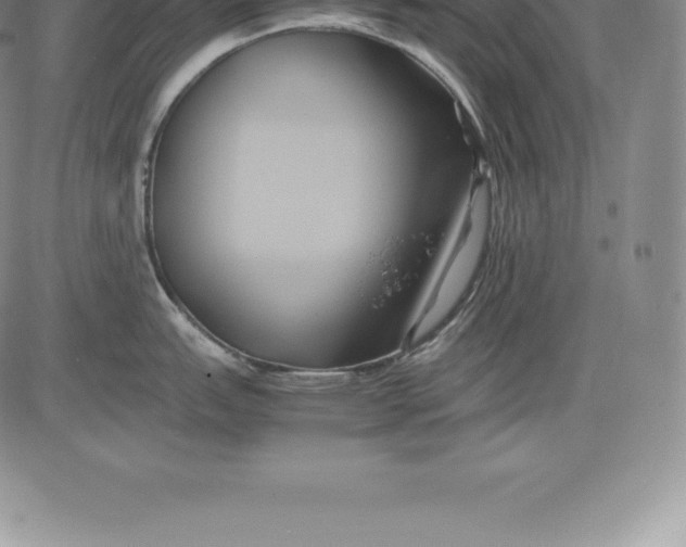 X0000083621151200703051603