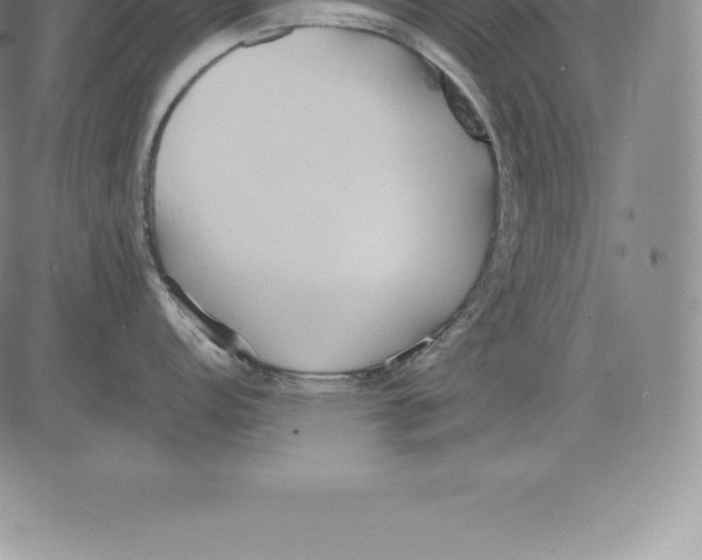 X0000083621152200703051603