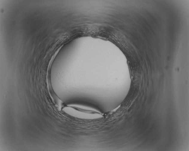 X0000083621153200703051602