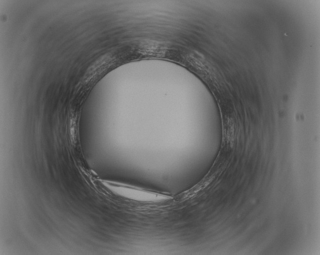 X0000083621154200703051602