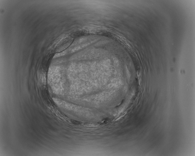 X0000083621155200703051602