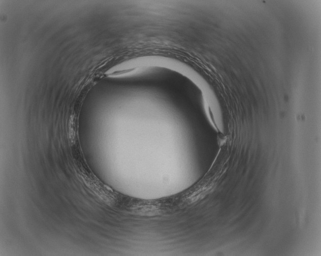 X0000083621156200703051602