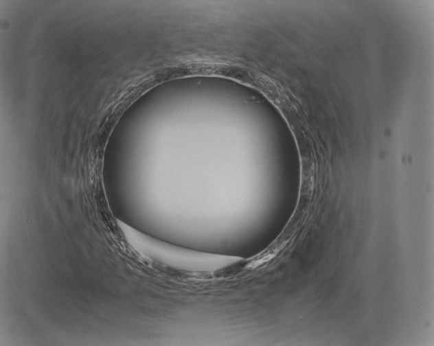 X0000083621157200703051602