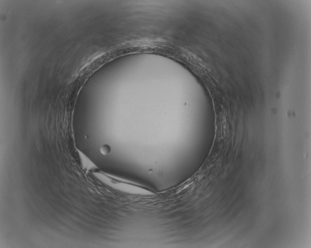 X0000083621158200703051602