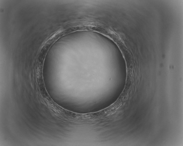 X0000083621159200703051602