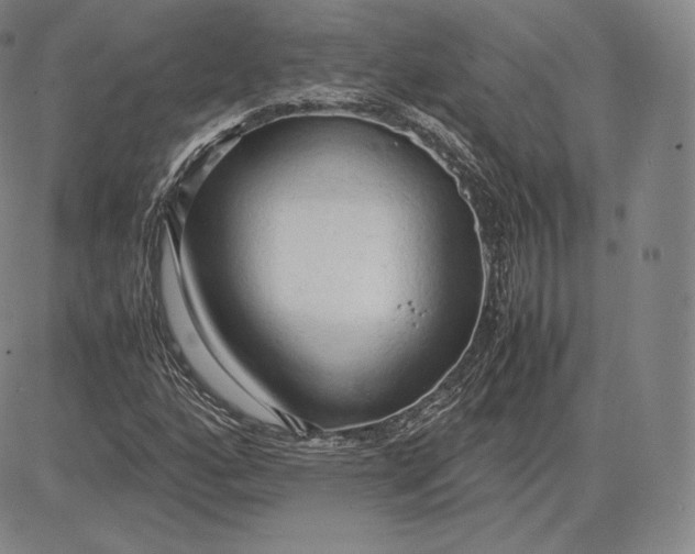 X0000083621160200703051602