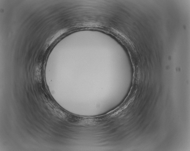 X0000083621162200703051602