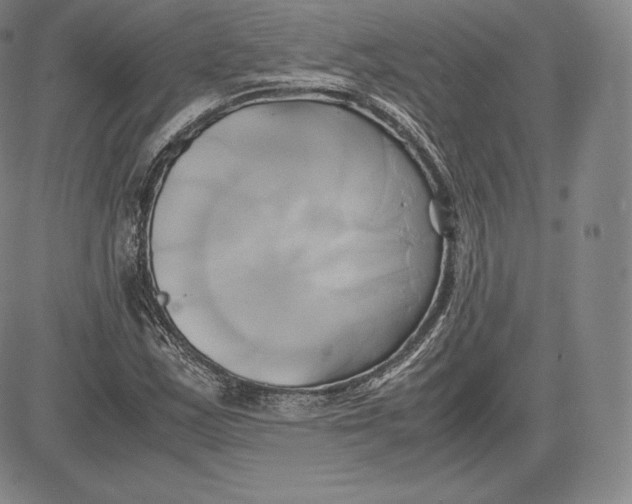 X0000083621163200703051602