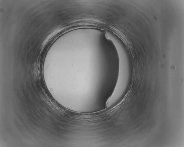 X0000083621164200703051602