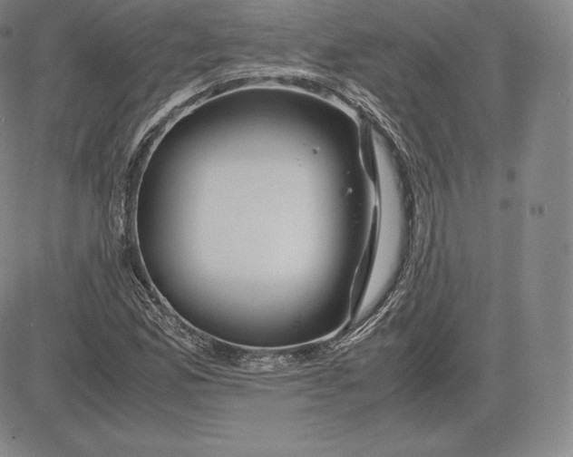 X0000083621165200703051602