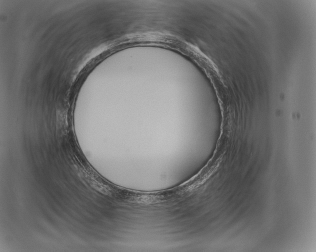 X0000083621166200703051602