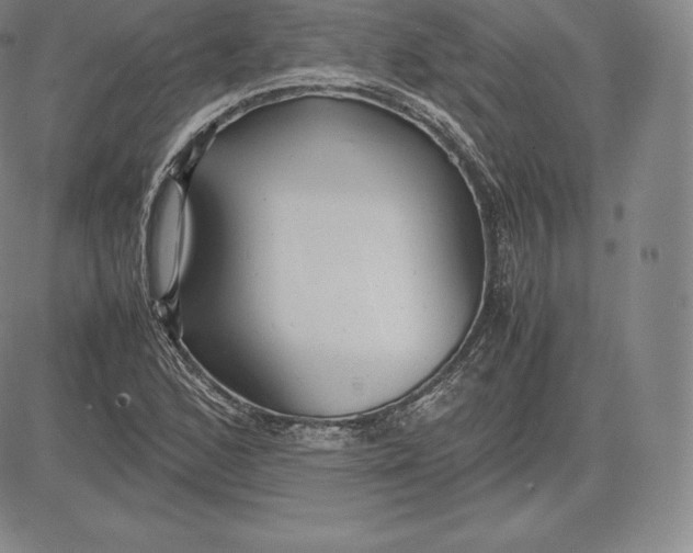 X0000083621168200703051602