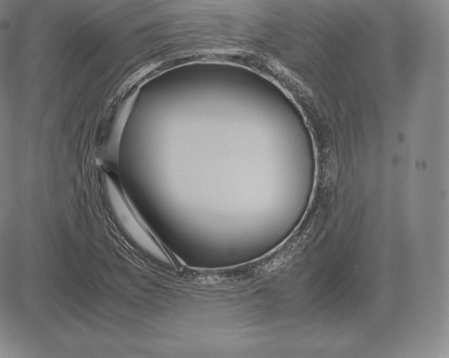 X0000083621169200703051601