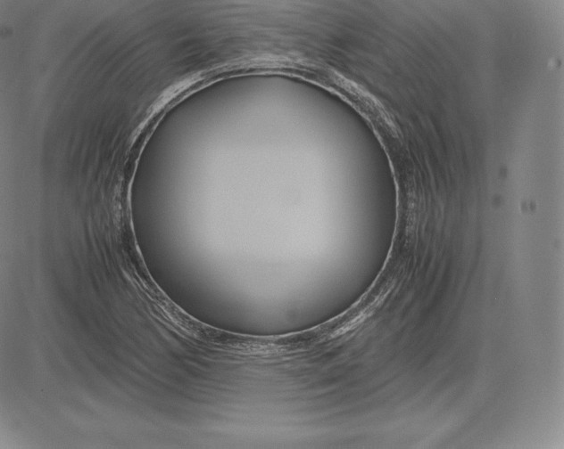 X0000083621170200703051601