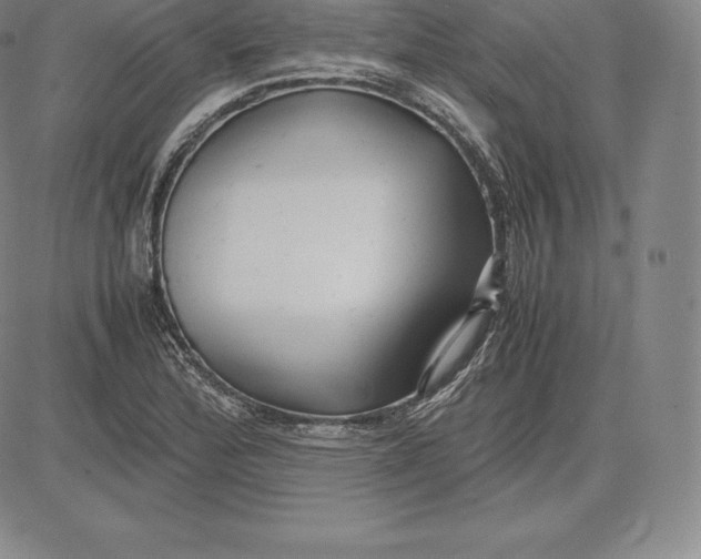 X0000083621172200703051601