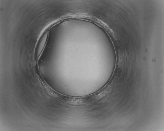 X0000083621174200703051601