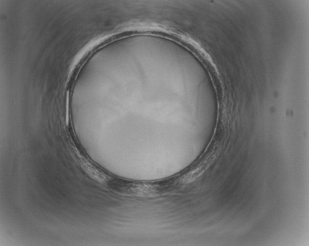 X0000083621175200703051601