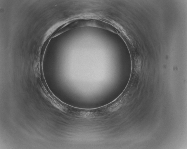 X0000083621176200703051601