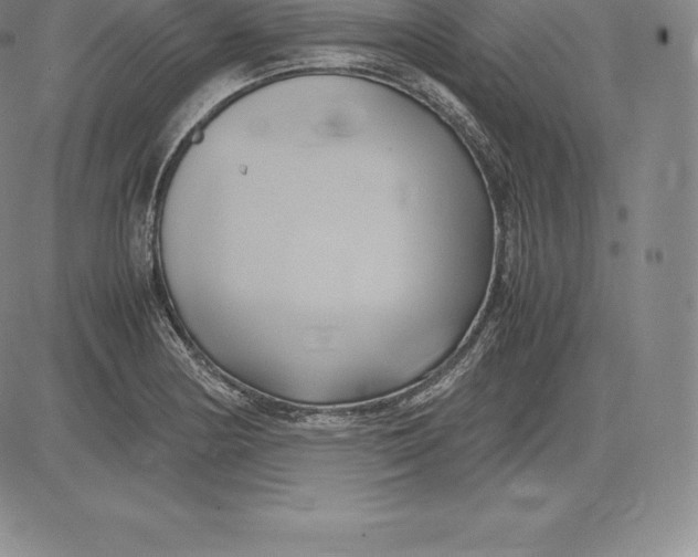 X0000083621178200703051601