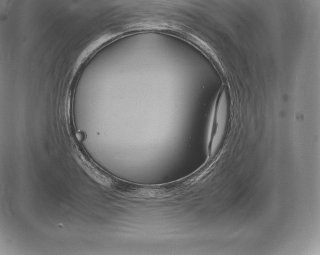 X0000083621179200703051601