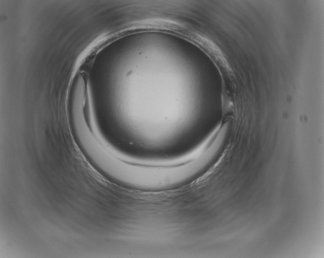 X0000083621180200703051601