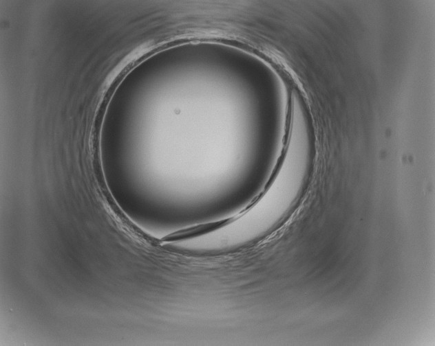 X0000083621181200703051601