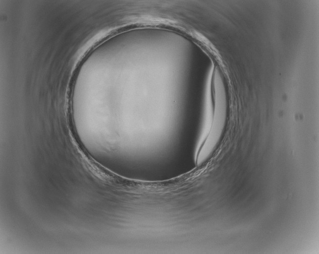 X0000083621183200703051601