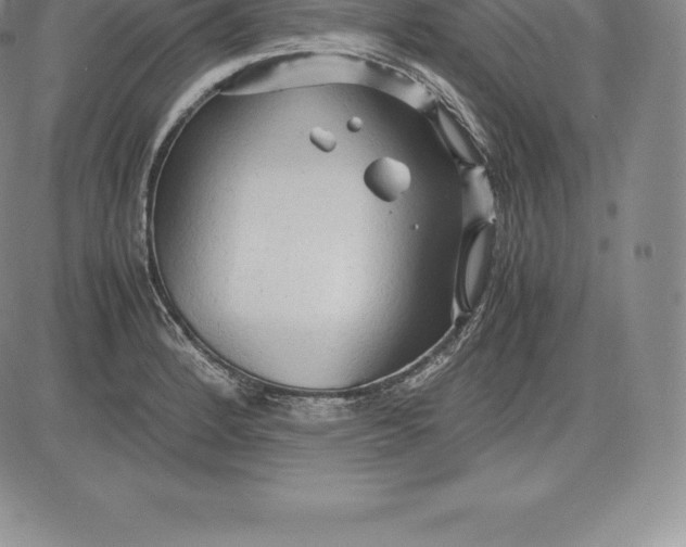 X0000083621184200703051601