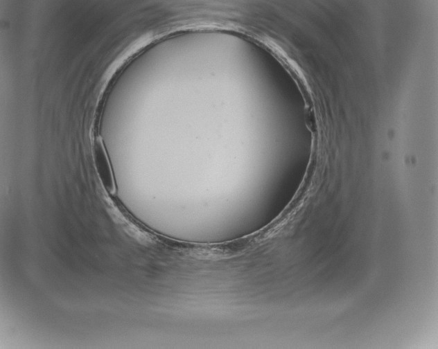 X0000083621189200703051601